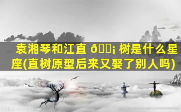 袁湘琴和江直 🐡 树是什么星座(直树原型后来又娶了别人吗)